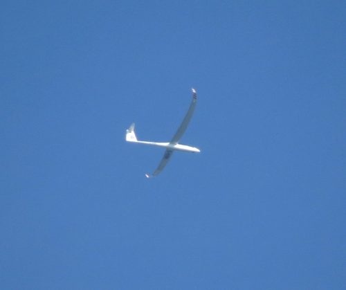 Glider-D-KIBK-02