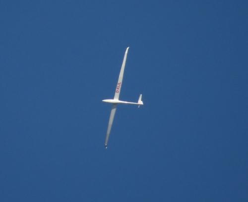 Glider-D-KIJL-01