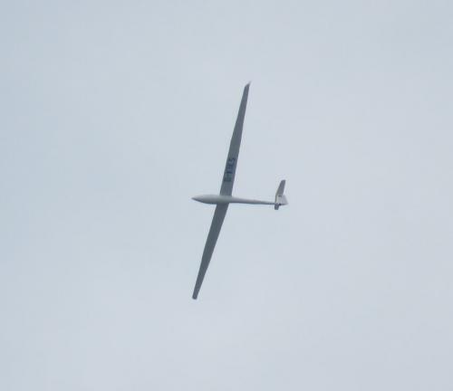 Glider-D-KIKS-01