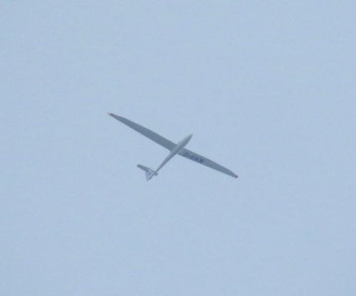 Glider-D-KIKW-01