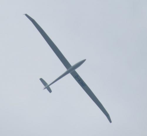 Glider-D-KIMF-03