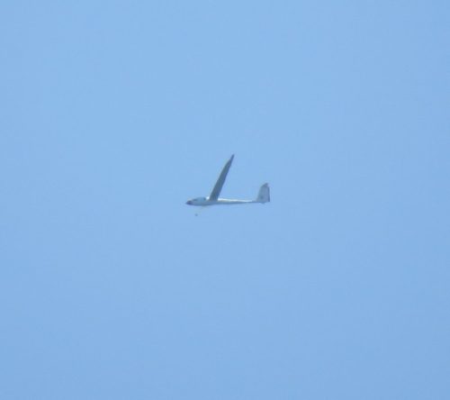 Glider-D-KIOJ-03