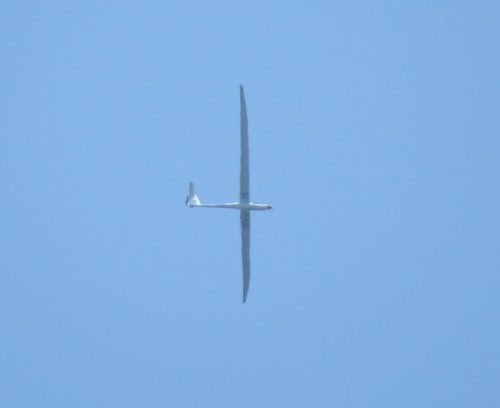 Glider-D-KIOJ-04