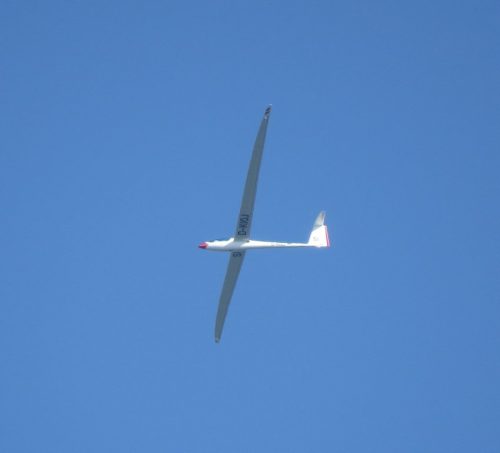 Glider-D-KIOJ-05