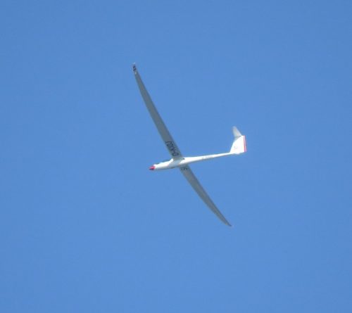 Glider-D-KIOJ-06