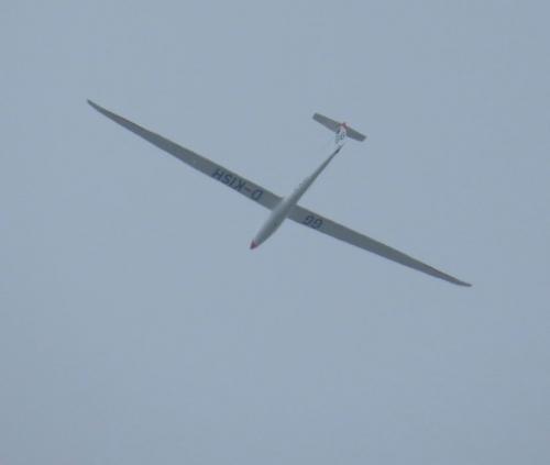 Glider-D-KISH-01