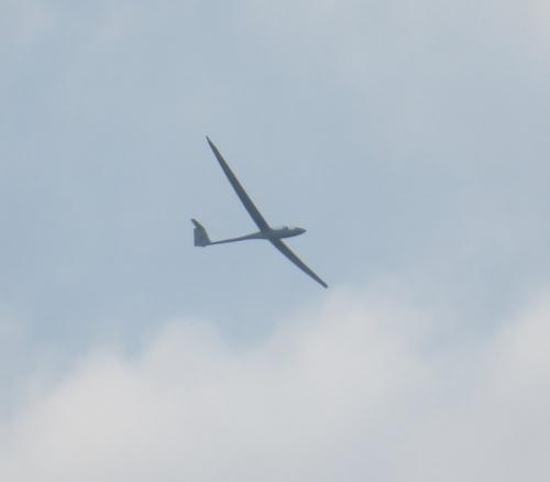 Glider-D-KISY-03