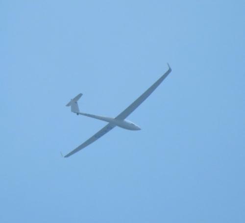 Glider-D-KITO-01