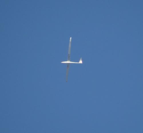 Glider-D-KITT-01