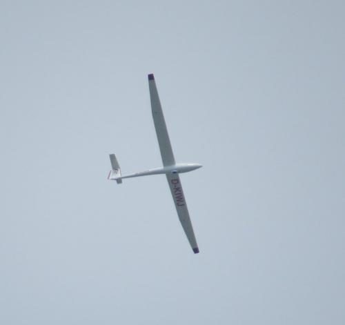 Glider-D-KIWJ-01