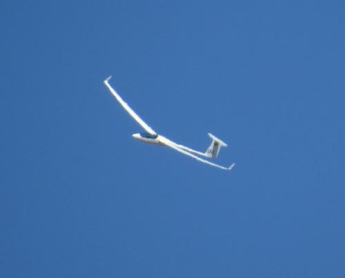 Glider-D-KIYI-01