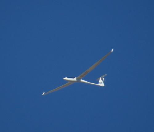 Glider-D-KIYI-04