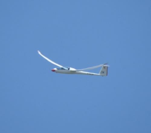 Glider-D-KKCM-03