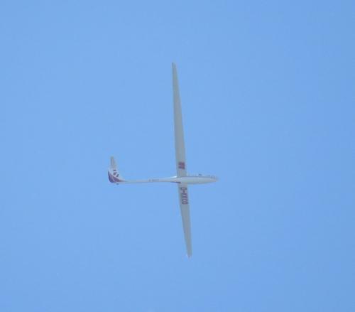 Glider-D-KKCO-01