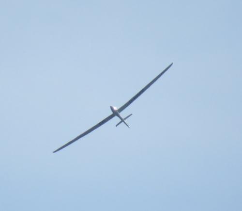 Glider-D-KKFP-03