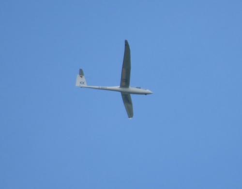 Glider-D-KKFS-01