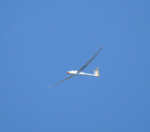 Glider-D-KKIL-01