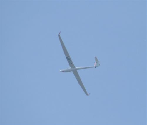 Glider-D-KKIS-01