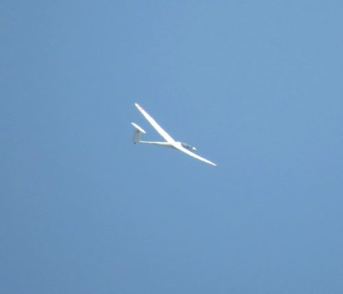 Glider-D-KKKB-02