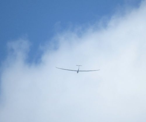 Glider-D-KKMI-01
