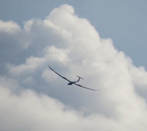 Glider-D-KKRI-01