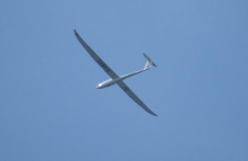 Glider-D-KKVO-01