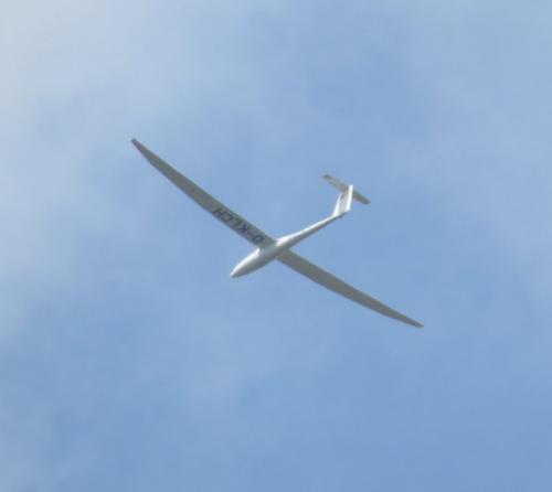 Glider-D-KLCH-01