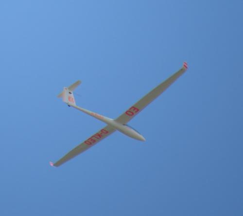 Glider-D-KLEO-02