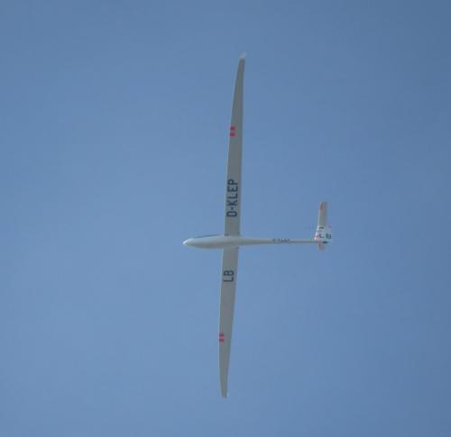 Glider-D-KLEP-03