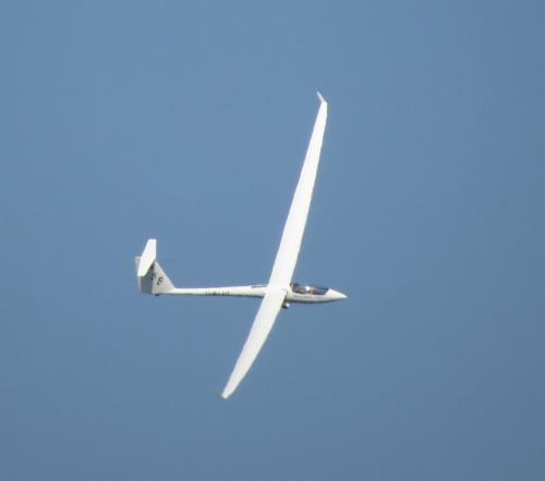 Glider-D-KLHL-04