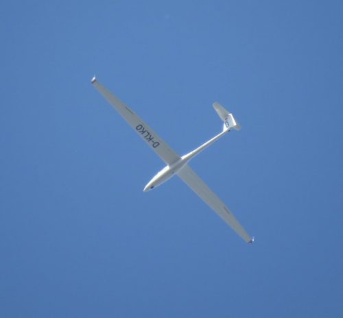 Glider-D-KLKO-01