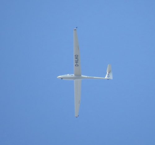 Glider-D-KLKO-02