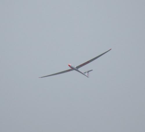 Glider-D-KLLW-01