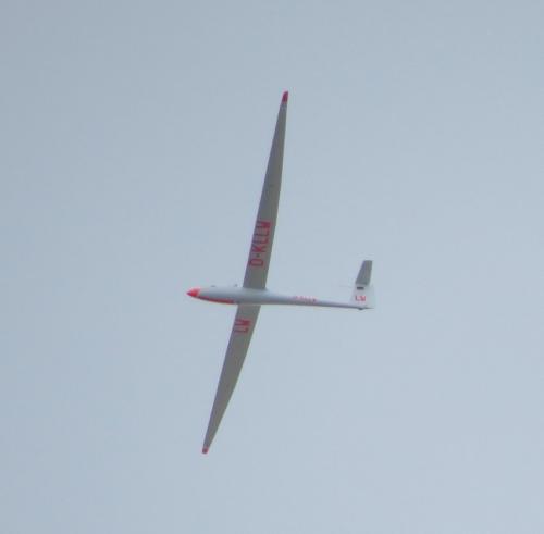 Glider-D-KLLW-03