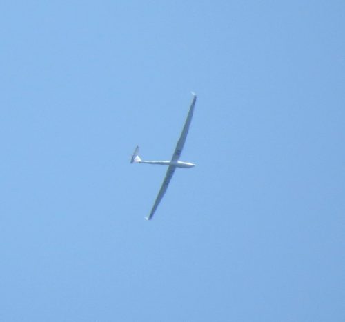 Glider-D-KLOL-01