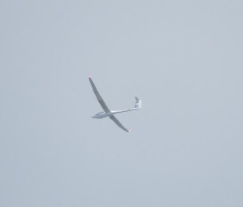 Glider-D-KLRO-01