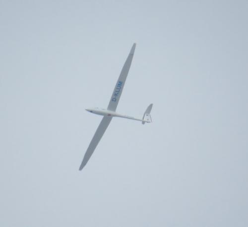 Glider-D-KLUM-03