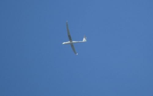 Glider-D-KLVD-01