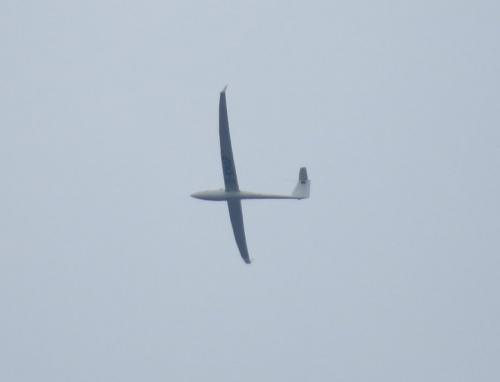 Glider-D-KMAP-01