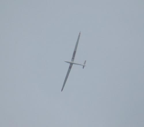 Glider-D-KMBE-01