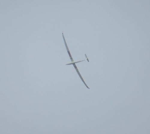 Glider-D-KMBE-02