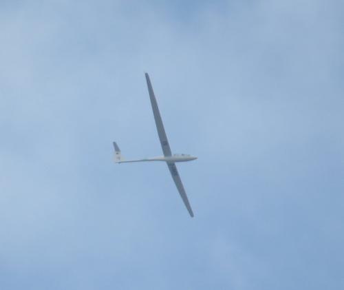 Glider-D-KMDK-02