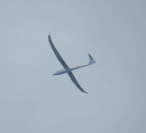 Glider-D-KMEL-01