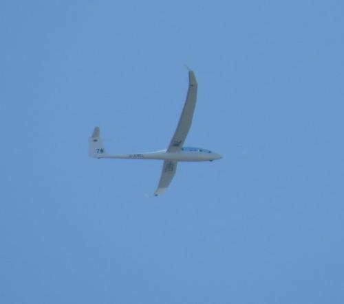 Glider-D-KMEL-03