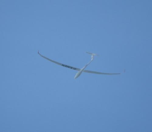 Glider-D-KMEN-01