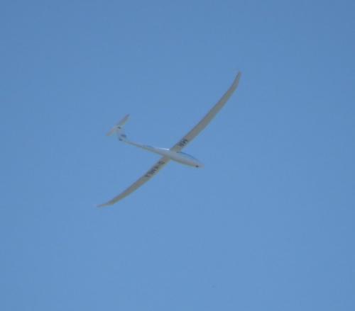 Glider-D-KMEX-01