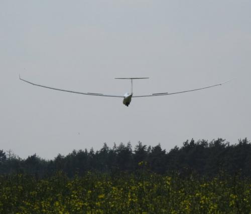 Glider-D-KMEX-09