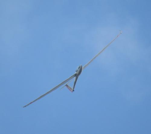 Glider-D-KMHW-07