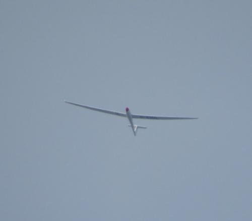 Glider-D-KMIL-01