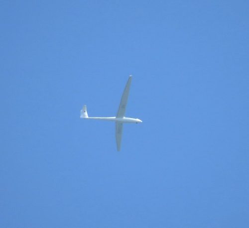 Glider-D-KMIM-01